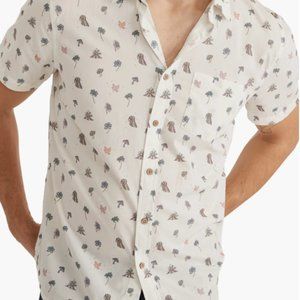 Marine Layer button down mushroom shirt (Men's Large)
